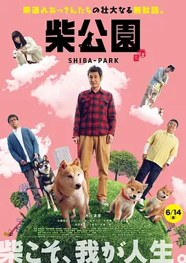 1819xxxxx高清tv